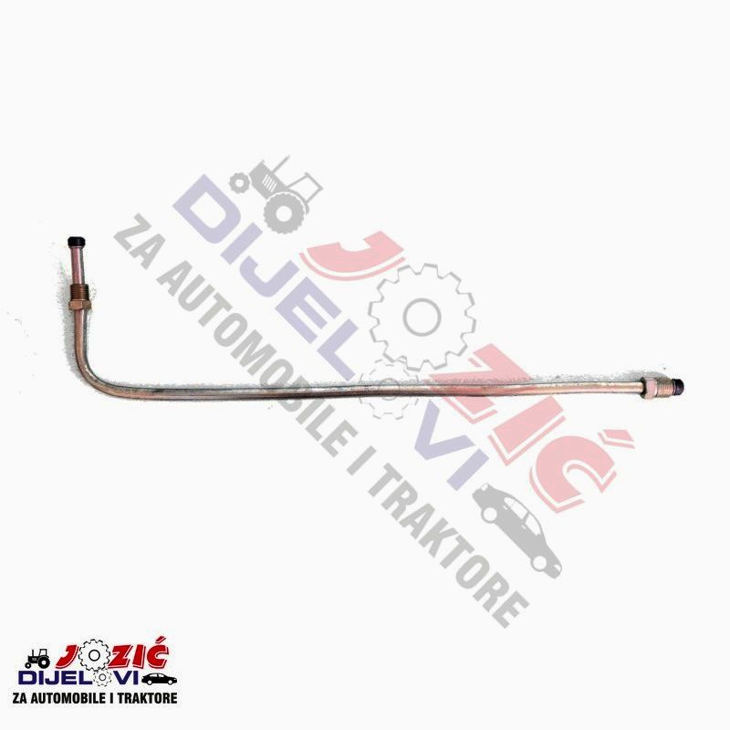 Daisy on the Ohoopee